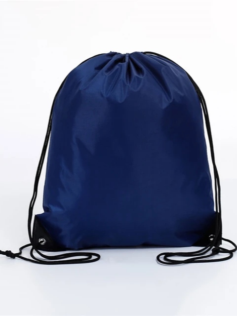 পিঠের ব্যাগ